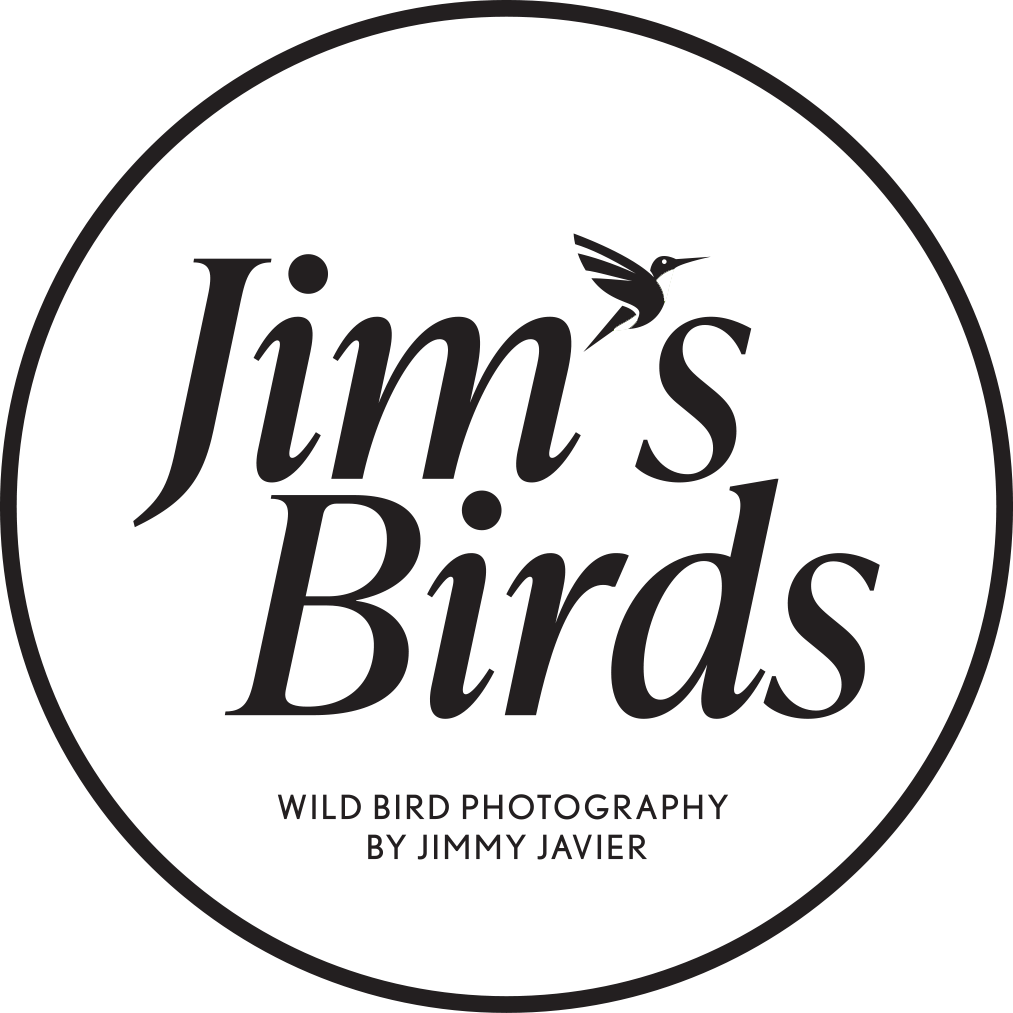 jb logo circ